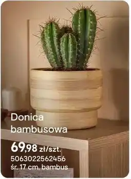 Castorama Doniczka bambusowa bambus oferta