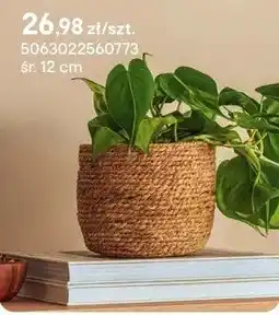 Castorama Koszyk wiklinowy śr. 12 cm oferta