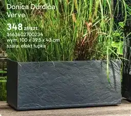 Castorama Donica Durdica Verve oferta