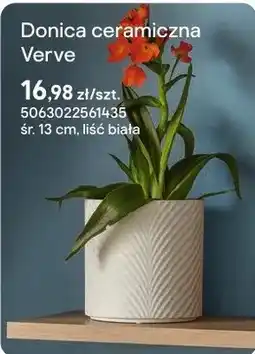 Castorama Donica ceramiczna Verve liść biała oferta