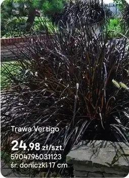 Castorama Trawa Vertigo oferta