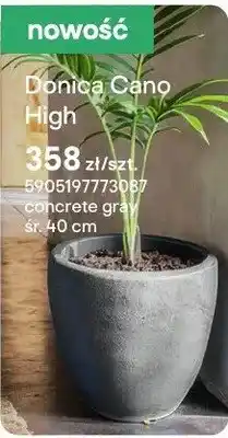 Castorama Donica Cano High oferta