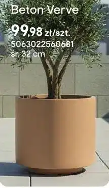 Castorama Donica Beton Verve oferta
