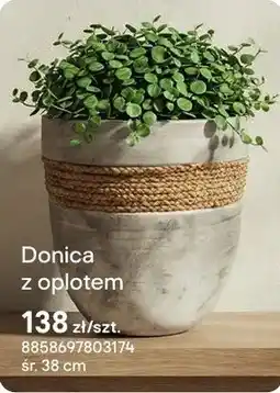Castorama Doniczka z oplotem oferta
