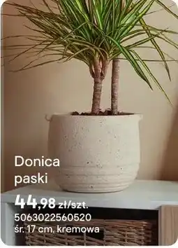 Castorama Doniczka paski kremowa oferta