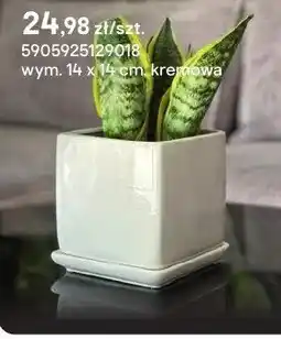 Castorama Donica z podstawką kwadratowa kremowa oferta