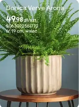 Castorama Donica Verve Arona walec oferta