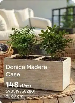 Castorama Donica Madera Case oferta