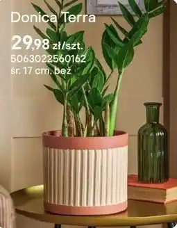 Castorama Doniczka Terra beż oferta