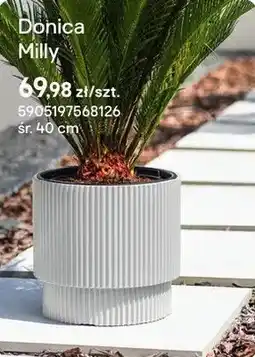 Castorama Donica Milly oferta
