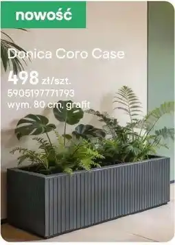 Castorama Doniczka Coro Case oferta