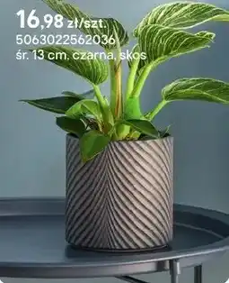 Castorama Donica Verve czarna, skos oferta