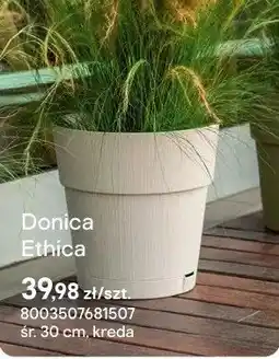 Castorama Donica Ethica kreda oferta