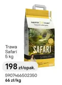 Castorama Trawa Safari oferta