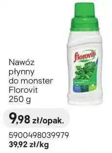 Castorama Nawóz płynny do monster oferta