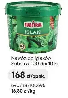 Castorama Nawóz do iglaków 100 dni oferta