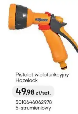 Castorama Pistolet wielofunkcyjny Hozelock oferta