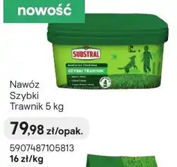 Castorama Nawóz Szybki Trawnik oferta