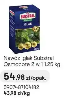 Castorama Nawóz Iglak Osmocote 2 w 1 oferta