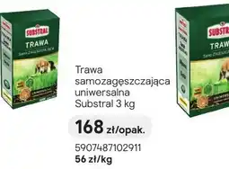 Castorama Trawa samozagęszczająca uniwersalna oferta