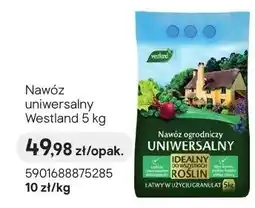 Castorama Nawóz uniwersalny oferta