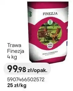 Castorama Trawa Finezja oferta