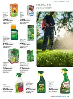 Castorama Środek chwastobójczy Randacol Total Natura oferta