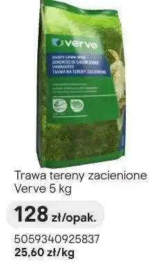 Castorama Trawa tereny zacienione oferta