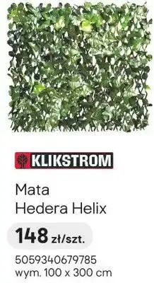 Castorama Mata Hedera Helix oferta