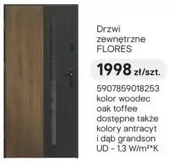 Castorama Drzwi zewnętrzne FLORES oferta