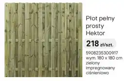 Castorama Płot pełny prosty Hektor oferta
