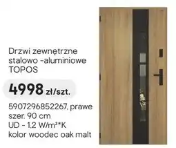 Castorama Drzwi zewnętrzne stalowo-aluminiowe TOPOS oferta