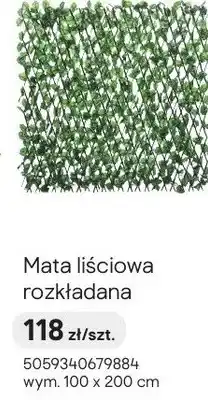 Castorama Mata liściowa rozkładana oferta