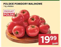 Stokrotka Pomidory Polski oferta