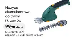 Castorama Nożyce akumulatorowe do trawy i krzewów oferta