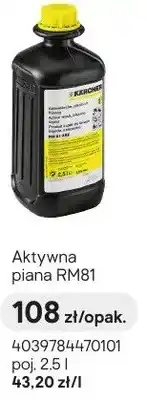 Castorama Aktywna piana RM81 oferta