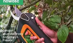 Castorama Sekator akumulatorowy nożycowy L oferta