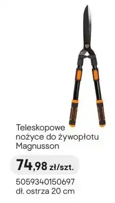 Castorama Teleskopowe nożyce do żywopłotu oferta