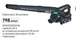 Castorama Odkurzacz dmuchawa oferta