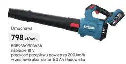 Castorama Dmuchawa oferta