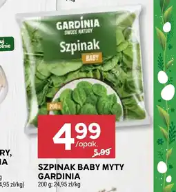 Stokrotka Szpinak Gardinia oferta