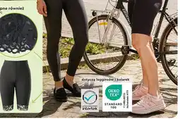Biedronka Legginsy damskie oferta
