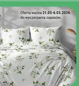 Biedronka Pościel bawełniana 100% 220x200 cm oferta