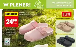 Biedronka Klapki ogrodowe damskie lub męskie oferta