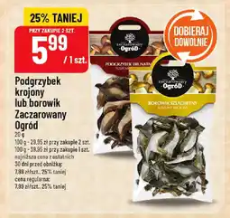 Polomarket Podgrzybek krojony lub borowik Zaczarowany Ogród oferta