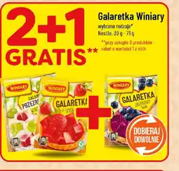 Polomarket Galaretka Winiary Nestle oferta