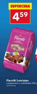 Lewiatan Pierniki nadziewane w czekoladzie oferta