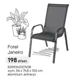 Castorama Fotel Janeiro oferta