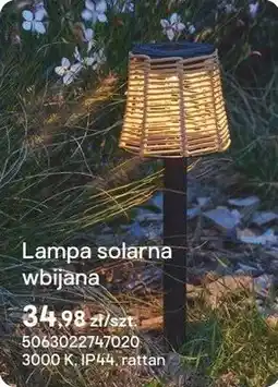 Castorama Lampa solarna wbijana Bamboo oferta