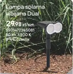 Castorama Lampa solarna wbijana Dual czarna oferta
